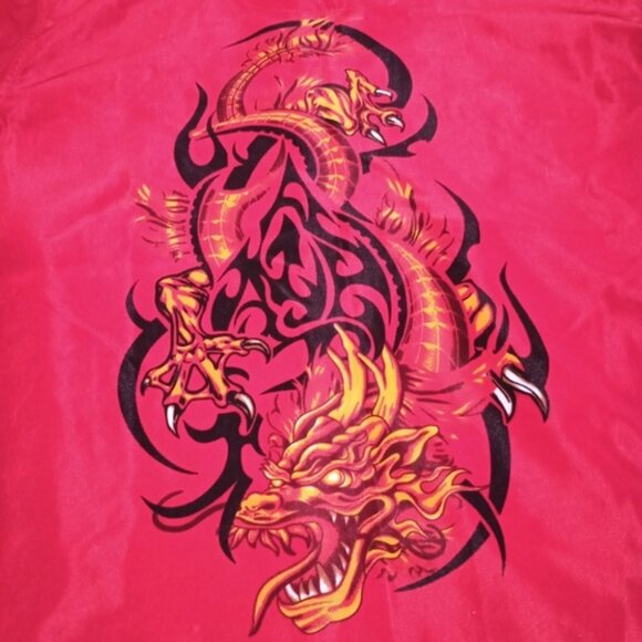 Xtreme Limit Boys Red Button Up Shirt Dragon Graphic Front and Back Size 6 7 - Picture 1 of 9